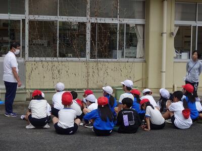 ツルレイシとお別れ