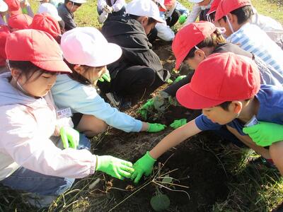 よいしょよいしょ