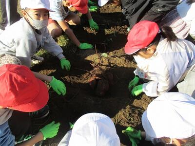 ほってもほっても